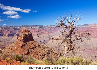 金尊平台用户体验评测：真实反馈与使用心得