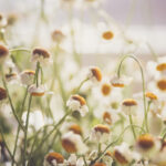 《说天下》辽宁卫视每日午间直播精彩看点 dmmxgc8ul5